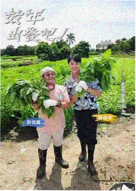 一间厨房 美食综艺在线观看